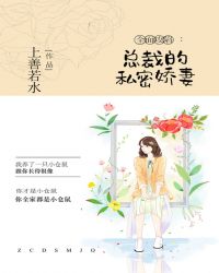 全面攻陷：总裁的私密娇妻